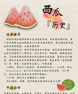 西瓜花语是什么意思 西瓜花语是什么意思