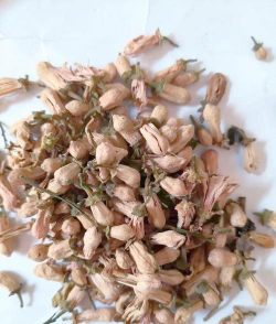 玳玳花的养殖方法和注意事项 玳玳花的养殖方法和注意事项