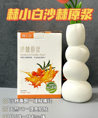 2024年沙棘价格多少钱一斤 2024年沙棘价格多少钱一斤