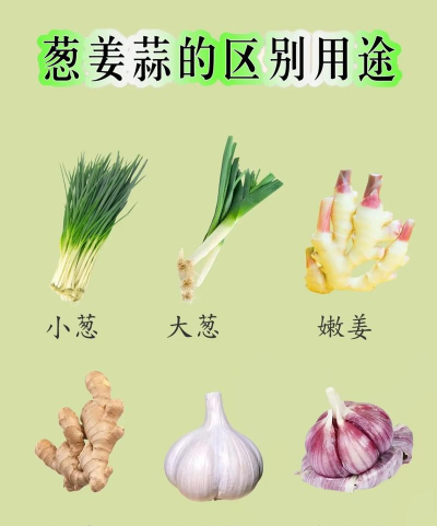 大蒜和大葱的区别 大蒜和大葱的区别
