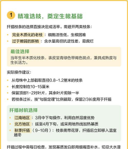 桂花树可以扦插吗 桂花树可以扦插吗