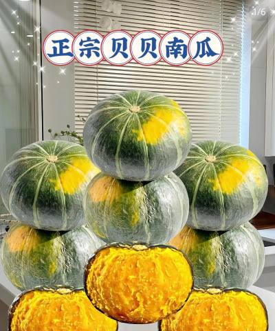 2024年贝贝南瓜多少钱一斤 2024年贝贝南瓜多少钱一斤