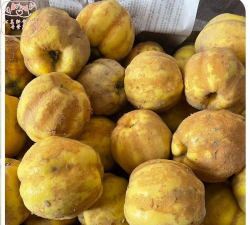 2024年木瓜多少钱一斤 2024年木瓜多少钱一斤