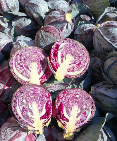 2024年紫甘蓝多少钱一斤 2024年紫甘蓝多少钱一斤