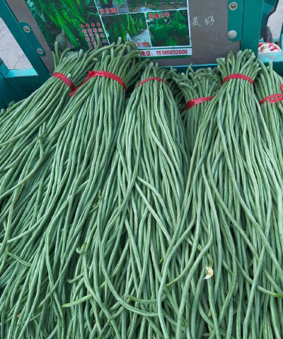 2024年豇豆多少钱一斤 2024年豇豆多少钱一斤