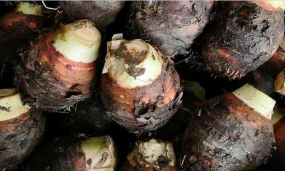 2024年芋头多少钱一斤 2024年芋头多少钱一斤