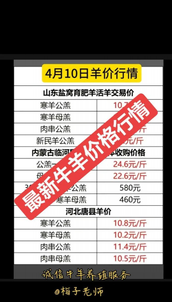 养羊成本多少钱 养羊成本多少钱