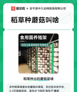 稻草怎么种植香菇 稻草怎么种植香菇