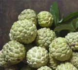 林檎要怎么种植 林檎要怎么种植