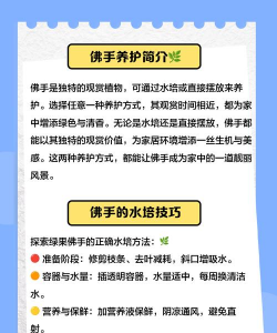 佛手的养殖方法和注意事项 佛手的养殖方法和注意事项