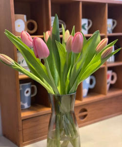 郁金香可以放卧室吗 郁金香可以放卧室吗