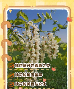 槐花什么时候开花 槐花什么时候开花