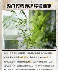 内门竹的养殖方法和注意事项 内门竹的养殖方法和注意事项