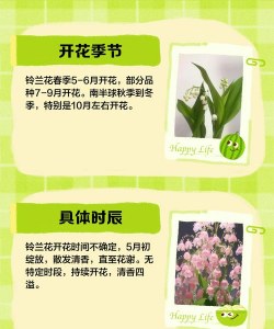 铃兰开花时间 铃兰开花时间