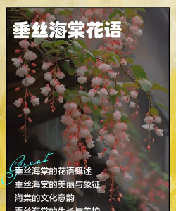 垂丝海棠花语寓意 垂丝海棠花语寓意