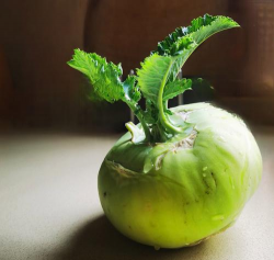 大头菜是什么菜 大头菜是什么菜