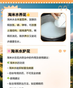 新鲜的淘米水可以浇花吗 新鲜的淘米水可以浇花吗