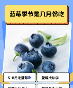 蓝莓什么时候成熟 蓝莓什么时候成熟