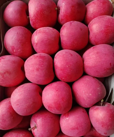 红富士苹果 红富士苹果