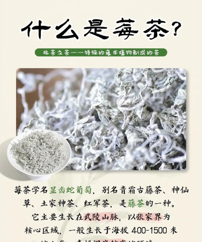 莓茶是什么茶 莓茶是什么茶