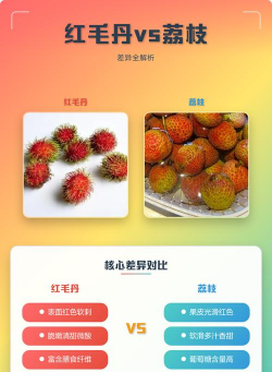 荔枝和红毛丹的区别 荔枝和红毛丹的区别