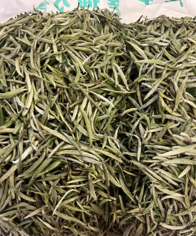 毛尖是绿茶吗 毛尖是绿茶吗