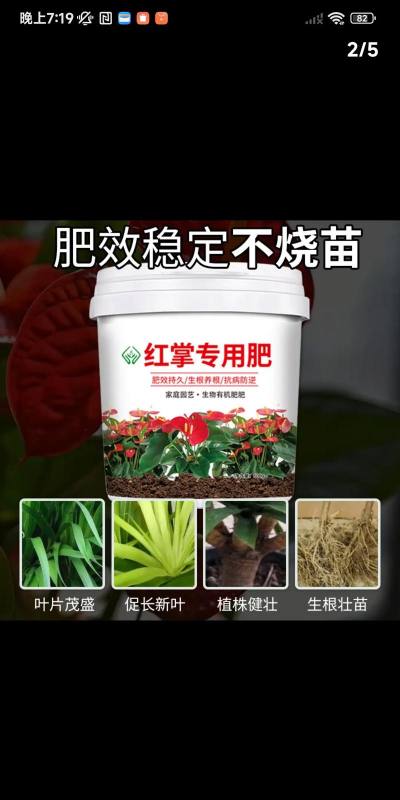 给红掌施什么肥料 给红掌施什么肥料