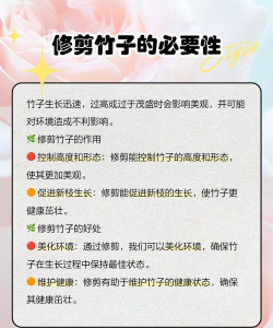 种植竹子怎么修剪 种植竹子怎么修剪