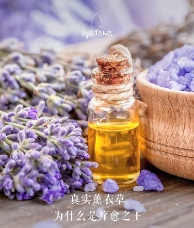 哪些花有精油味道 哪些花有精油味道