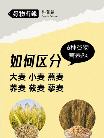 大麦和燕麦的区别 大麦和燕麦的区别