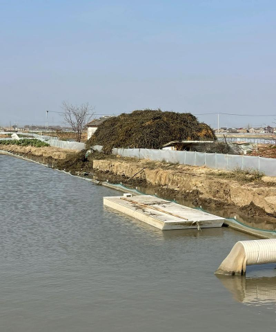 大闸蟹养殖环境 大闸蟹养殖环境