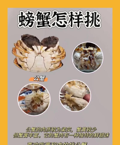 大闸蟹公母的区别 大闸蟹公母的区别