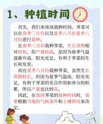 大头菜什么时候种 大头菜什么时候种