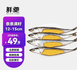 多春鱼为什么全是籽 多春鱼为什么全是籽