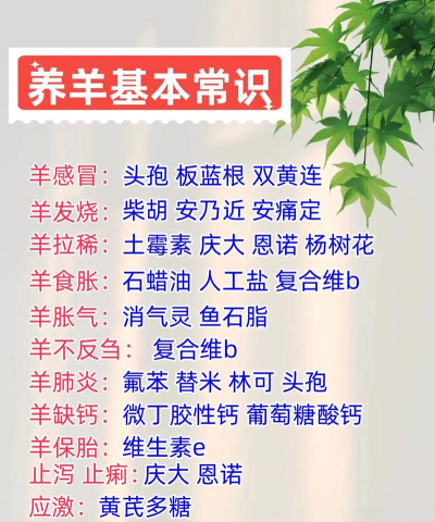 羊的养殖方法 羊的养殖方法