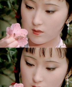 黛玉葬花有哪些花 黛玉葬花有哪些花