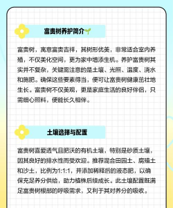 富贵树为什么会养死 富贵树为什么会养死