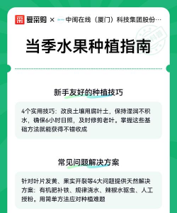 用水果怎么种植 用水果怎么种植