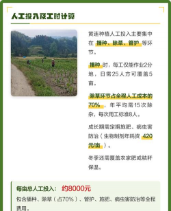 怎么管理黄莲种植 怎么管理黄莲种植