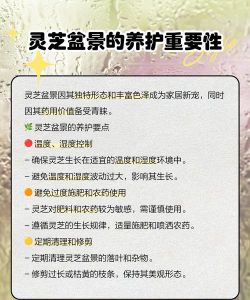 怎么种植灵芝盆景 怎么种植灵芝盆景