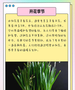 还有哪些花什么时间开 还有哪些花什么时间开