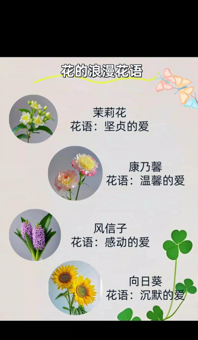 什么花的花语是陪伴的 什么花的花语是陪伴的