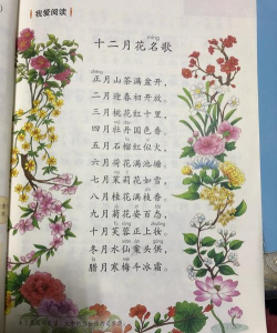 唱花歌有哪些 唱花歌有哪些