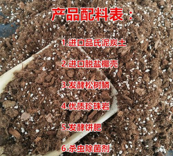 昙花适合什么样的土质 昙花适合什么样的土质