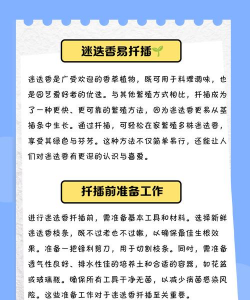 迷迭香怎么扦插种植 迷迭香怎么扦插种植