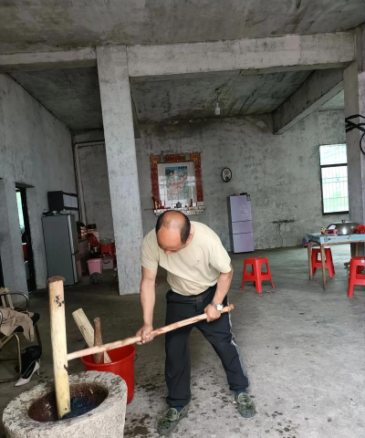 糍粑该怎么种植 糍粑该怎么种植