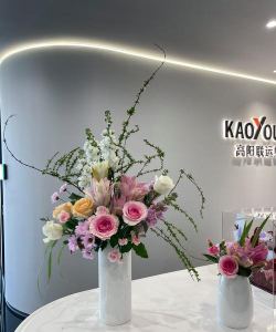 办公室用什么花合适 办公室用什么花合适