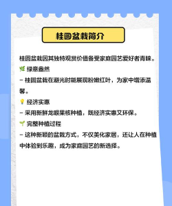 龙眼盆栽怎么种植 龙眼盆栽怎么种植