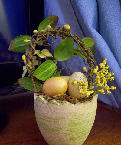 鸡蛋壳可以养什么花 鸡蛋壳可以养什么花