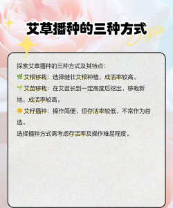 艾草怎么种植最好 艾草怎么种植最好